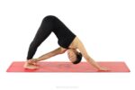 Liforme stjernetegn dyr yogamåtte hundens år yoga måtter 4R8040 - Image 6