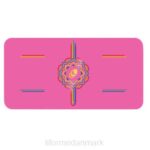 Liforme taknemmelig regnbue yoga pude taknemmelig pink/regnbue kollektion 4R8093